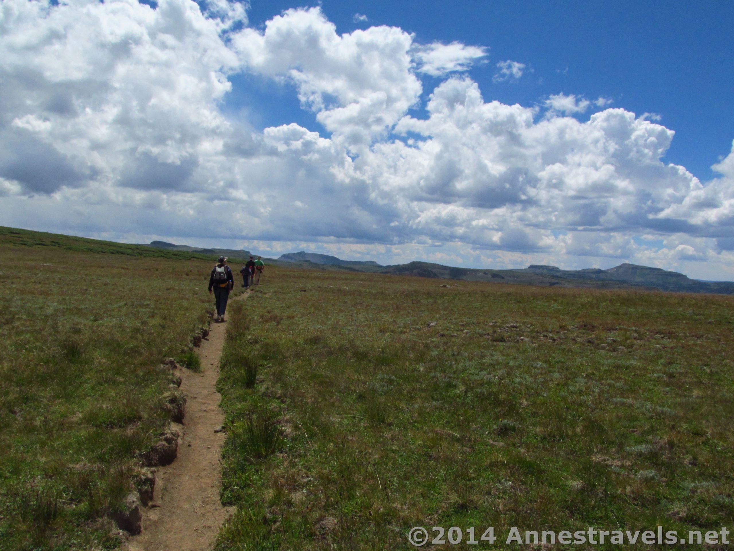 Aftercrossing the Causeway, the trail connects to Trail #1803 to hike across the beautiful Flat Tops, Flat Tops Wilderness Area, White River National Forest, Colorado