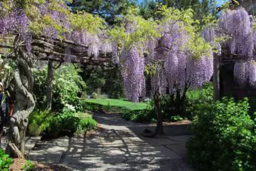 Willowwood Arboretum:  One of the Nice Kind of Arboretums!