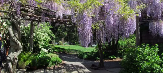 Willowwood Arboretum:  One of the Nice Kind of Arboretums!