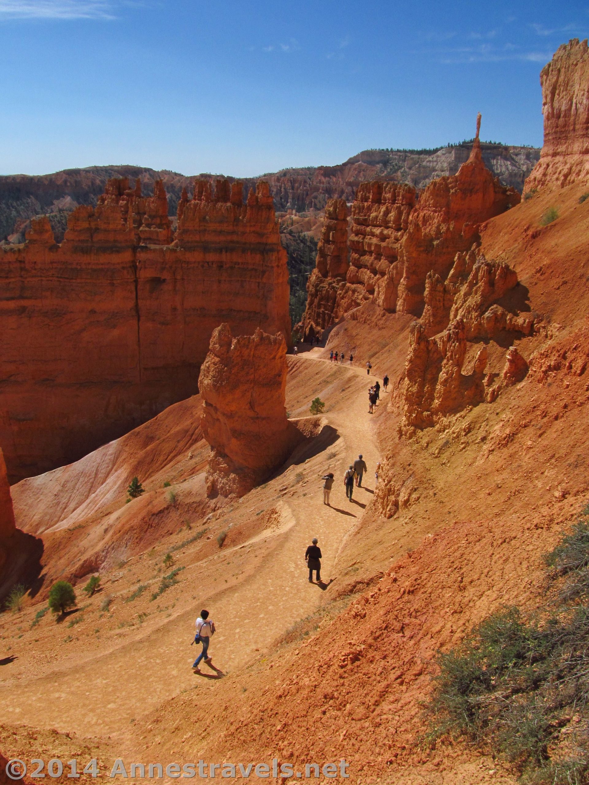 Queens Garden Trail & Navajo Loop: So Many Hoodoos!