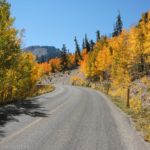 Autumn colors along the road in Great Basin National Park, Nevada