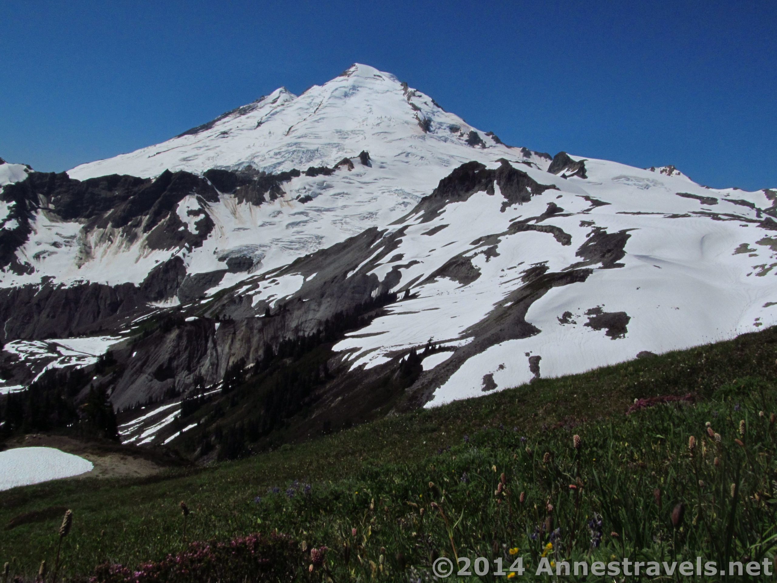 Meadows between Coleman Pinnacle and Camp Kaiser show off Mount Baker's Awesomeness near the Ptarmigan Ridge Trail, Mount Baker-Snoqualmie National Forest, Washington.