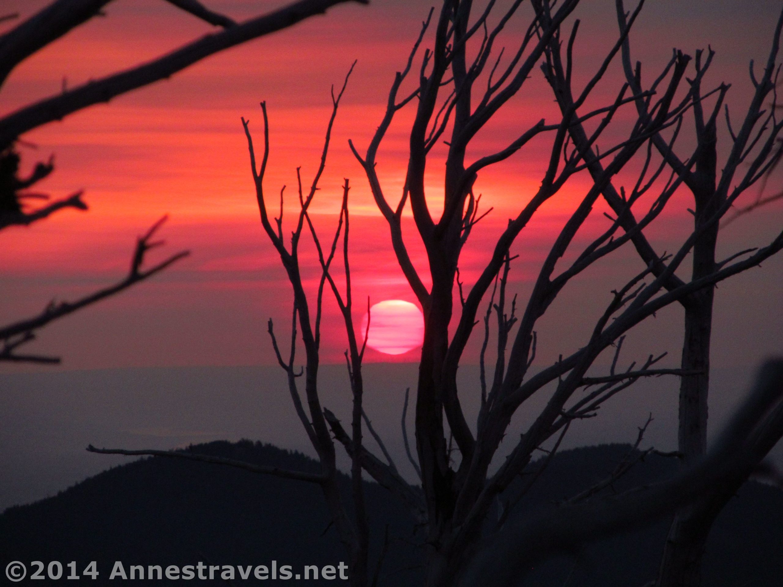 The sun rises through the dead trees around the Cloud Cap Inn, Mt. Hood National Forest, Oregon