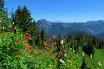 Canyon Ridge Trail – “Peak” into Canada