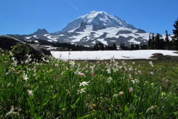 Lovely Mt. Rainier Views from Spray Park