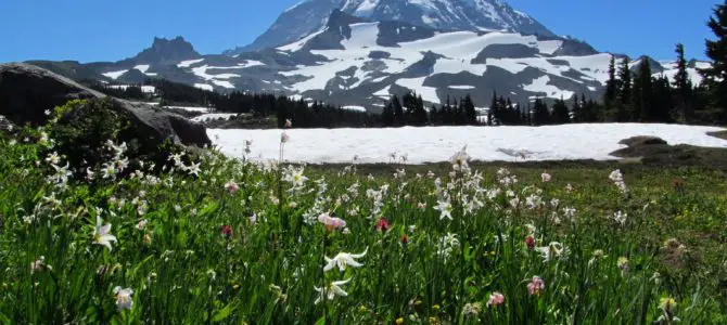 Lovely Mt. Rainier Views from Spray Park