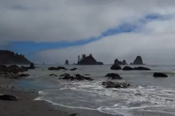 Hiking Third Beach to Strawberry Point: Rain Forests and Sea Stacks