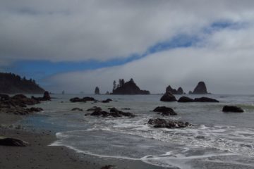 Hiking Third Beach to Strawberry Point: Rain Forests and Sea Stacks