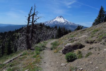 Lookout Mountain – Fabulous Views of Mt. Hood!