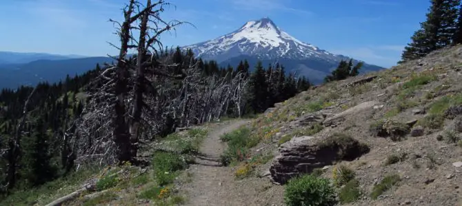 Lookout Mountain – Fabulous Views of Mt. Hood!