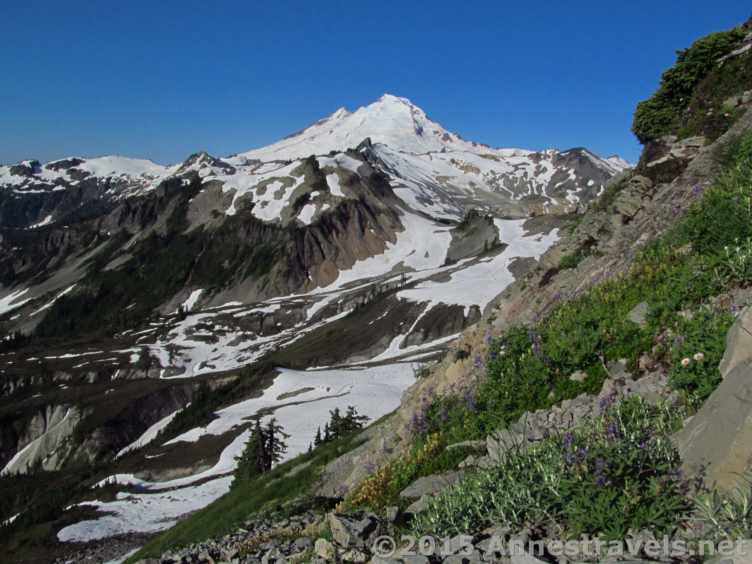 The shapely cone of Mt. Baker as seen from the Table Mountain Trail, Mount Baker-Snoqualmie National Forest, Washington