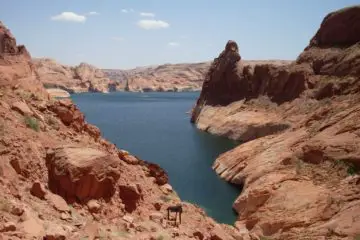 Hole in the Rock: Scramble to Lake Powell!
