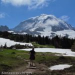 Mt. Rainier and the Spray Park Trail from Spray Park, Mt. Rainier National Park, Washington