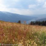 Wildflowers and meadows on the side of White Rock while hiking the Northwest Slopes, Wind River Range, Wyoming