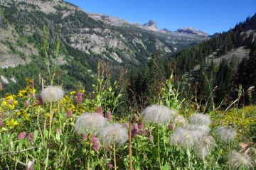 Stairway to Heaven – Views and Wildflowers Galore!