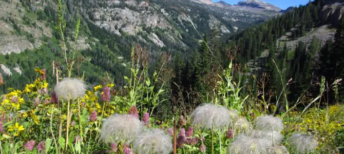 Stairway to Heaven – Views and Wildflowers Galore!