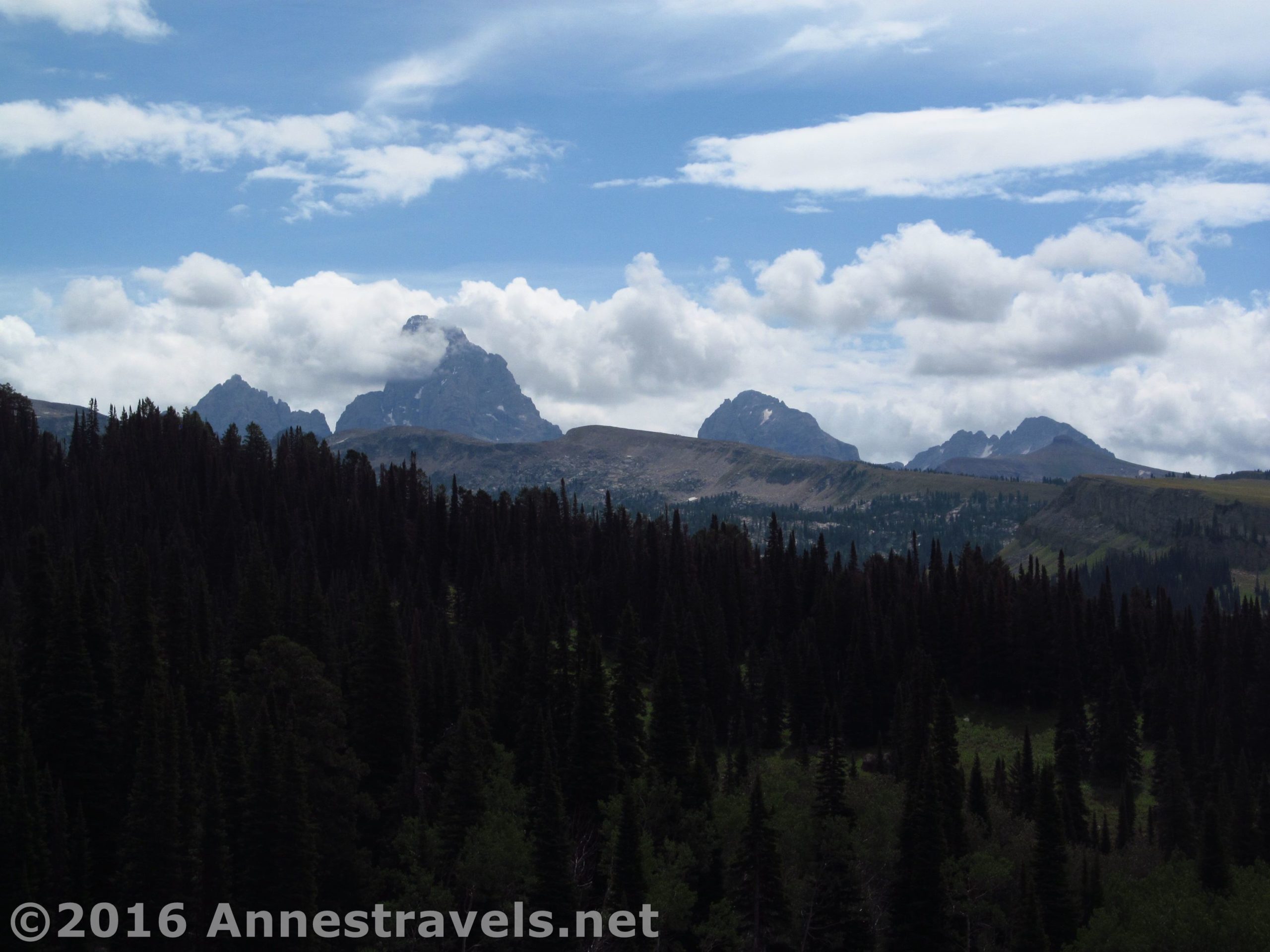 A closer view of the Tetons from the Andy Stone Trail, Jedediah Smith Wilderness / Grand Teton National Park, Wyoming