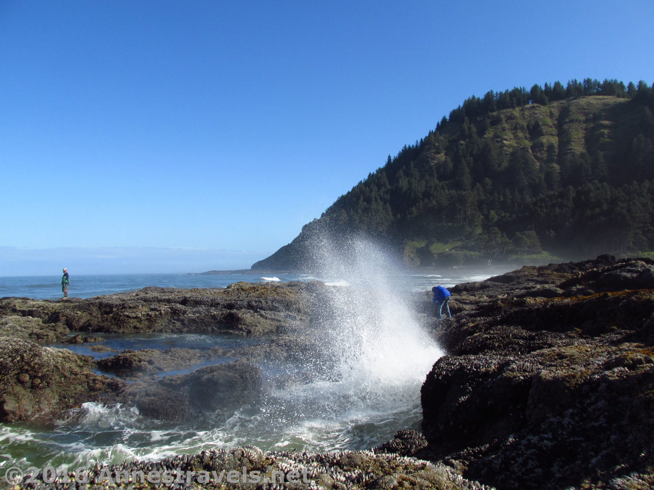 Waves crash against the ancient lava flow at Cape Perpetua, Oregon