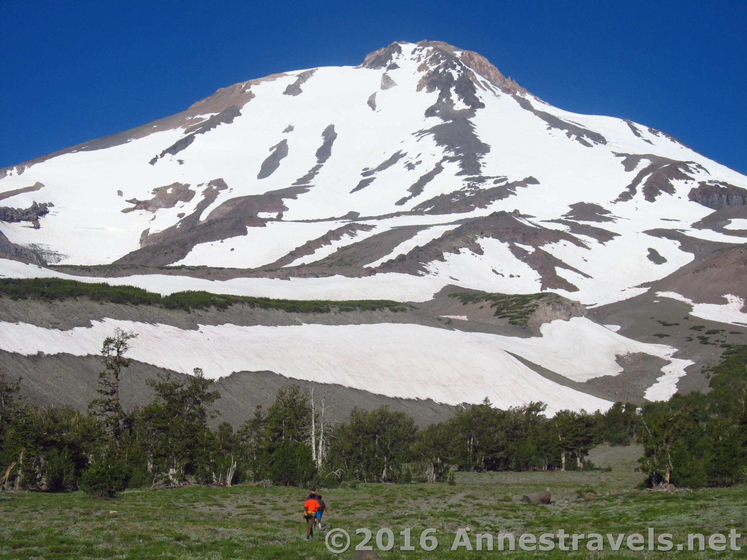 Hiking above the Brewer Creek Trail toward Mt. Shasta, Shasta-Trinity National Forest, California