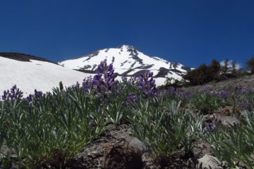 Finishing the Butte 9000 Loop High on Mt. Shasta