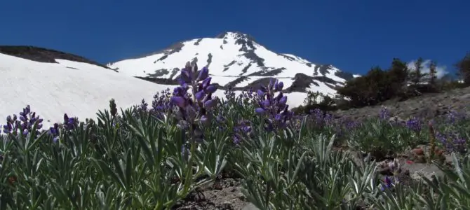 Finishing the Butte 9000 Loop High on Mt. Shasta