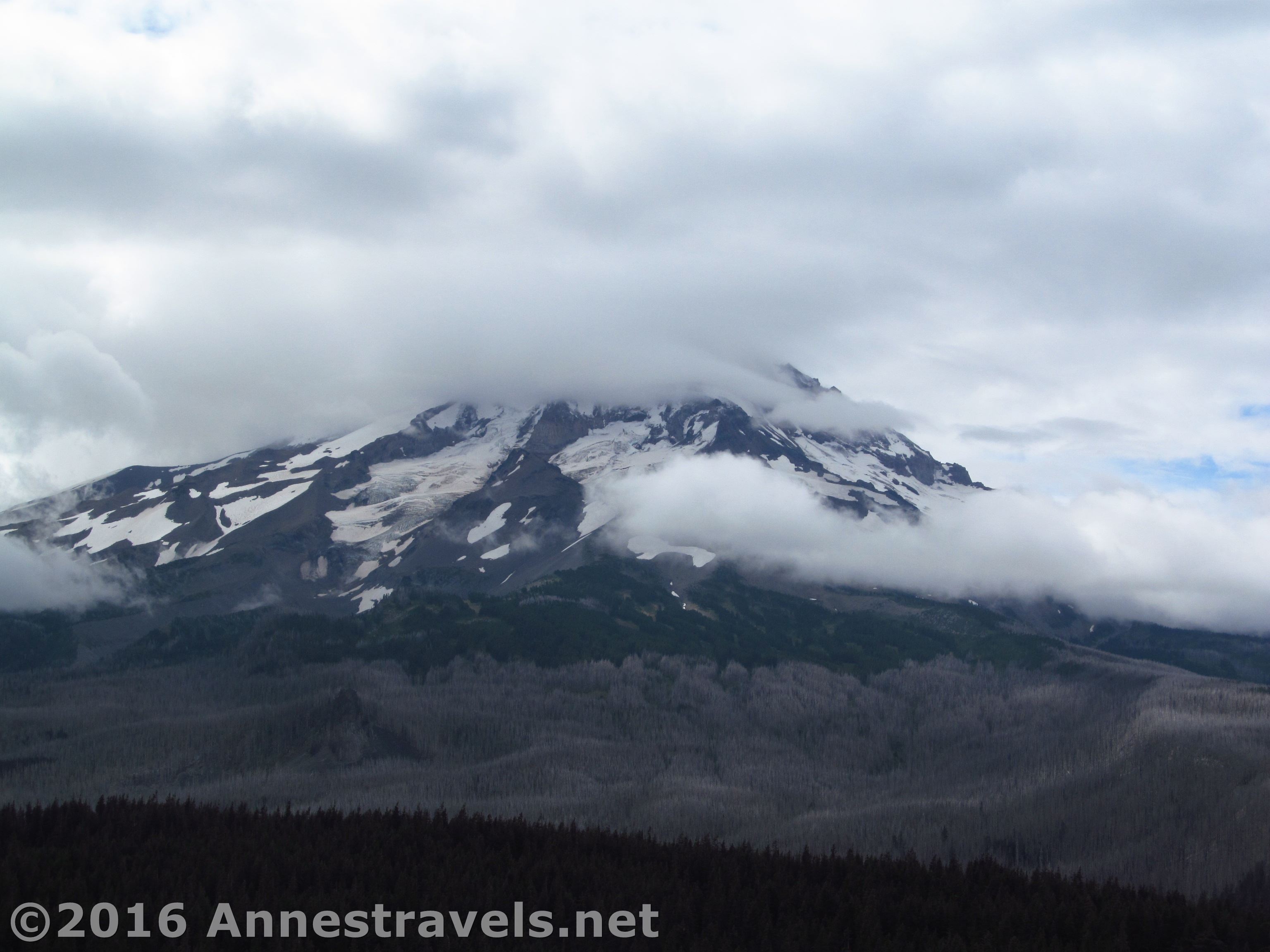 Owl Point in the Clouds Owl Point in the Clouds
