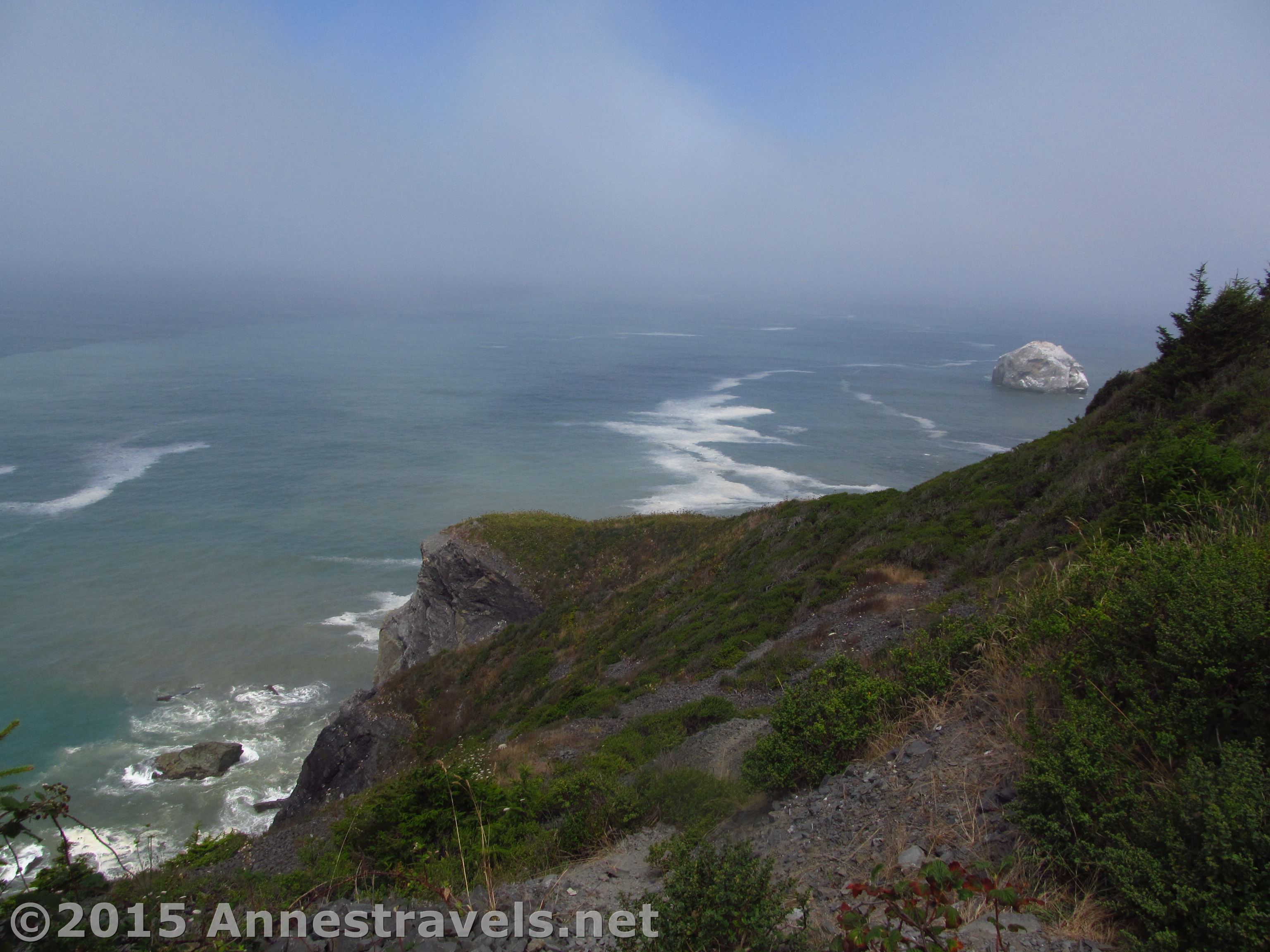 High Bluff Overlook in Redwood National Park Anne's Travels