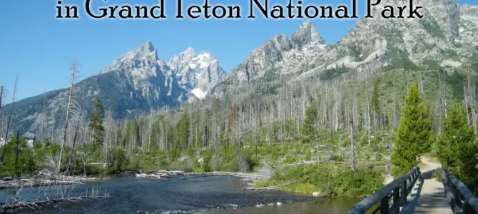 12 Best Day Hikes in Grand Teton National Park