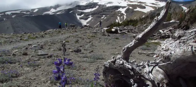 Spectacular Gnarl Ridge below Mt. Hood