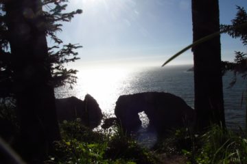 Arch Rock Picnic Area: Sea Stacks in Oregon