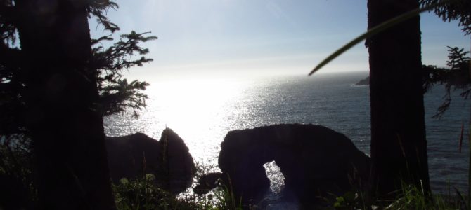 Arch Rock Picnic Area: Sea Stacks in Oregon