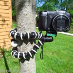 GorillaPod Hybrid Tripod, set up on a small tree.