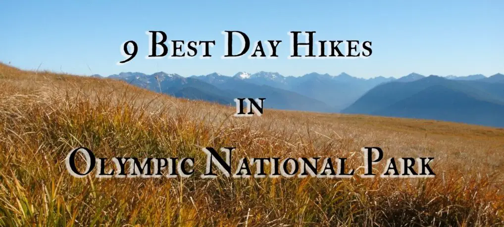 9 Best Day Hikes in Olympic National Park