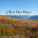 9 Best Day Hikes in Olympic National Park - photo from Hurricane Ridge