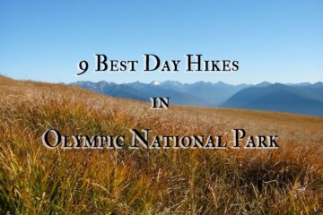 9 Best Day Hikes in Olympic National Park