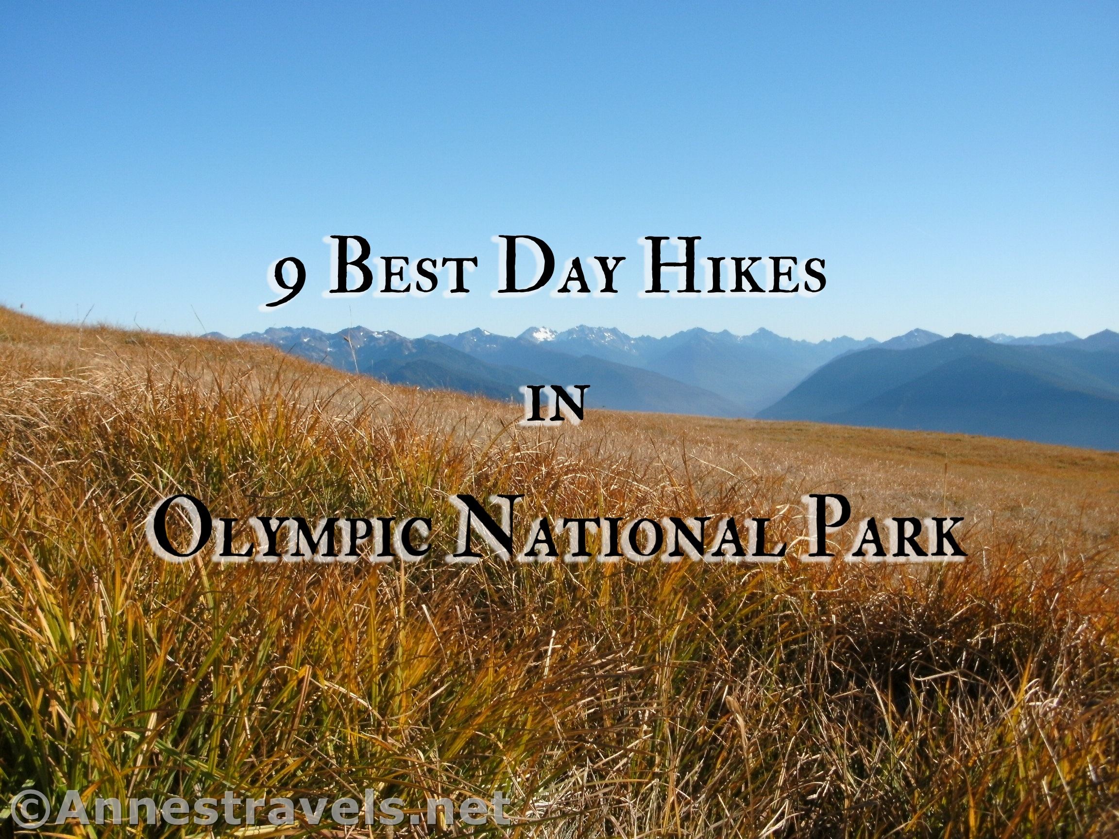 best beach hikes olympic national park