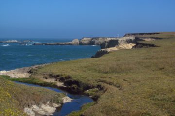 Hiking Point Arena-Stornetta National Monument