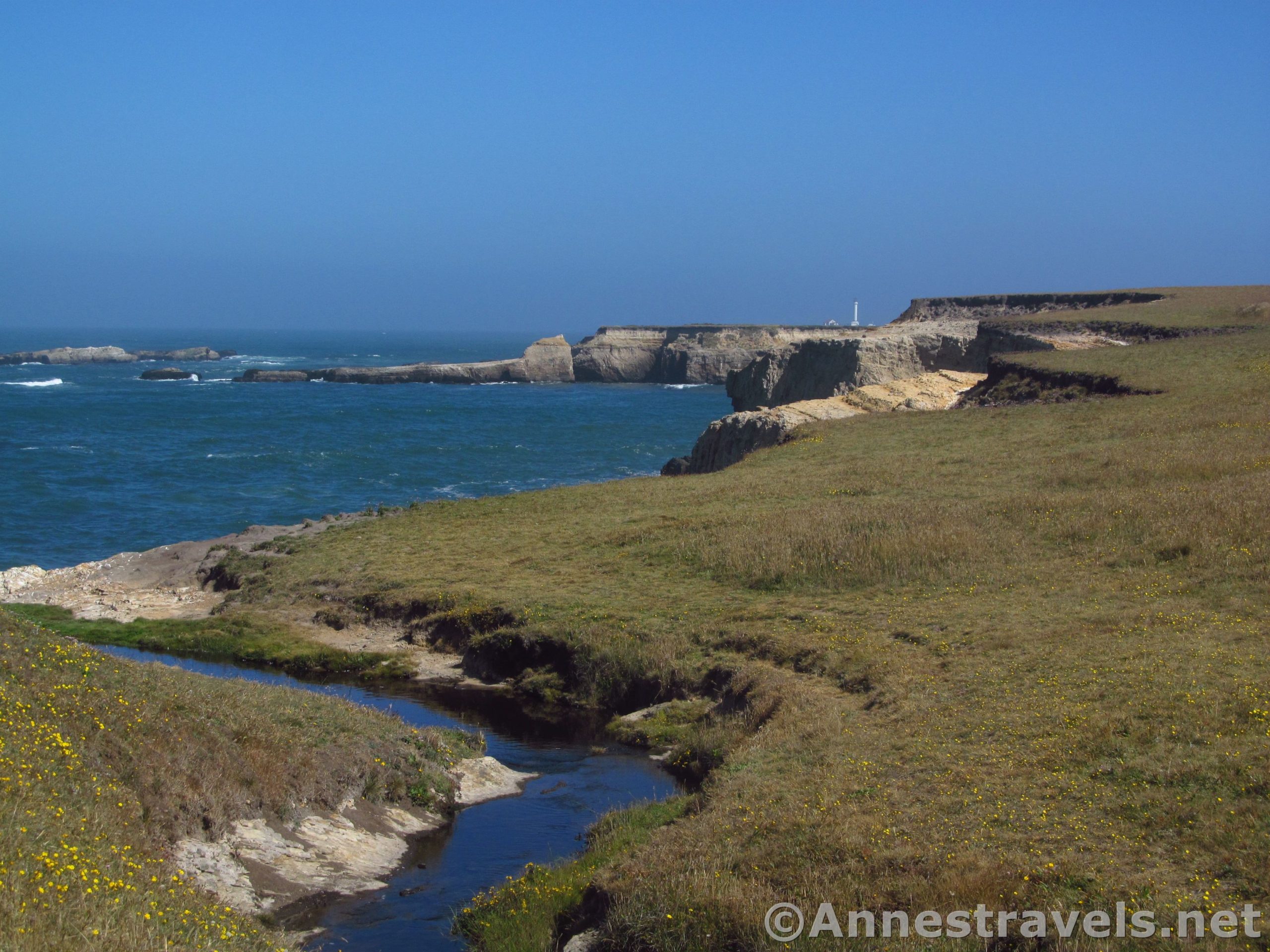 A little stream flows through Point Arena-Stornetta National Monument to the Pacific Ocean, California