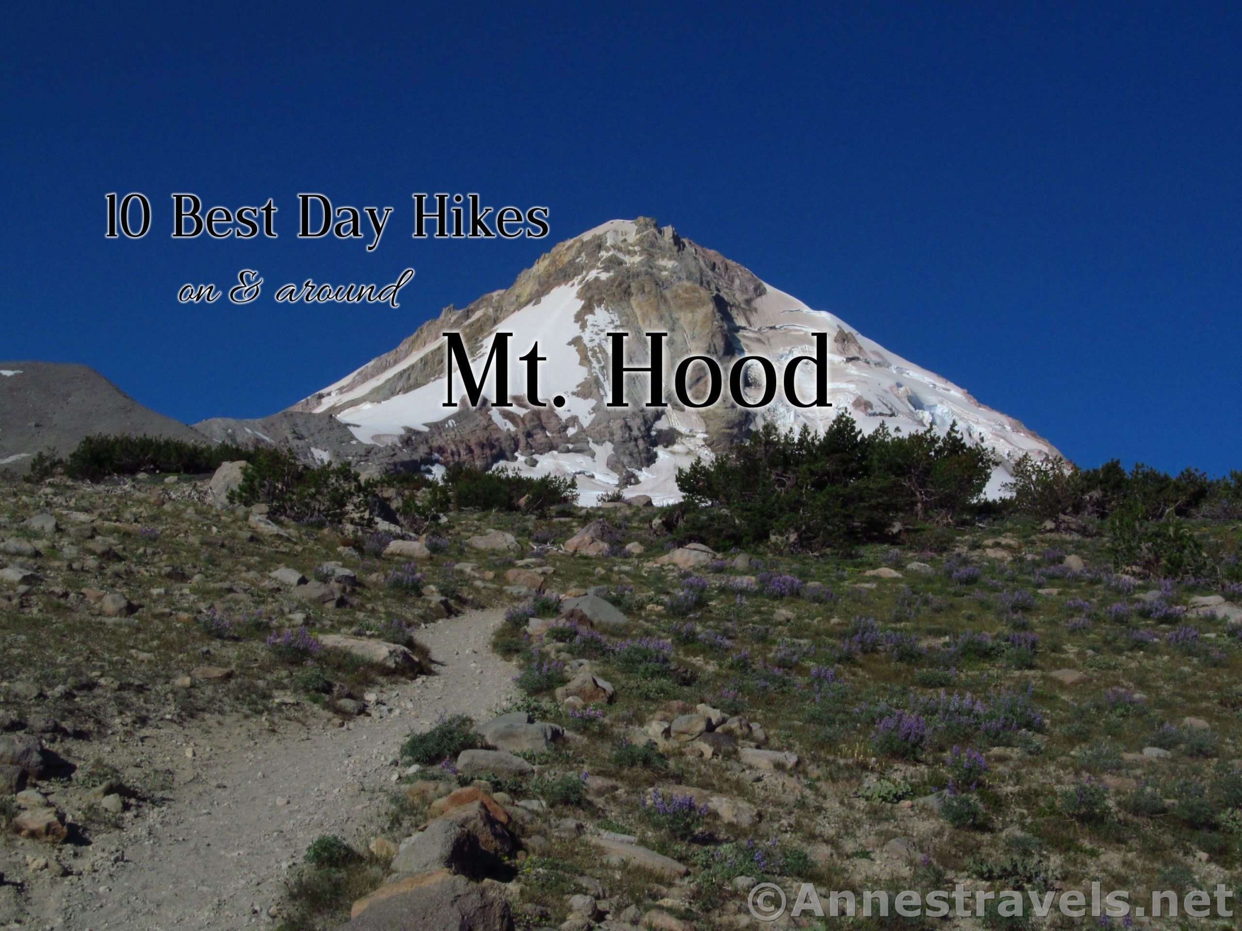 Cooper Spur Trail in Mt. Hood National Forest, Oregon