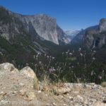 Little wildflowers at Artist Point along the Old Carriage Road in Yosemite National Park, California