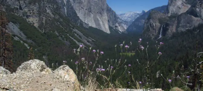 Hiking Artist Point via the Old Carriage Road