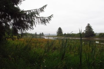 Misty Morning at Fort Clatsop