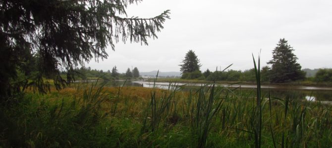 Misty Morning at Fort Clatsop