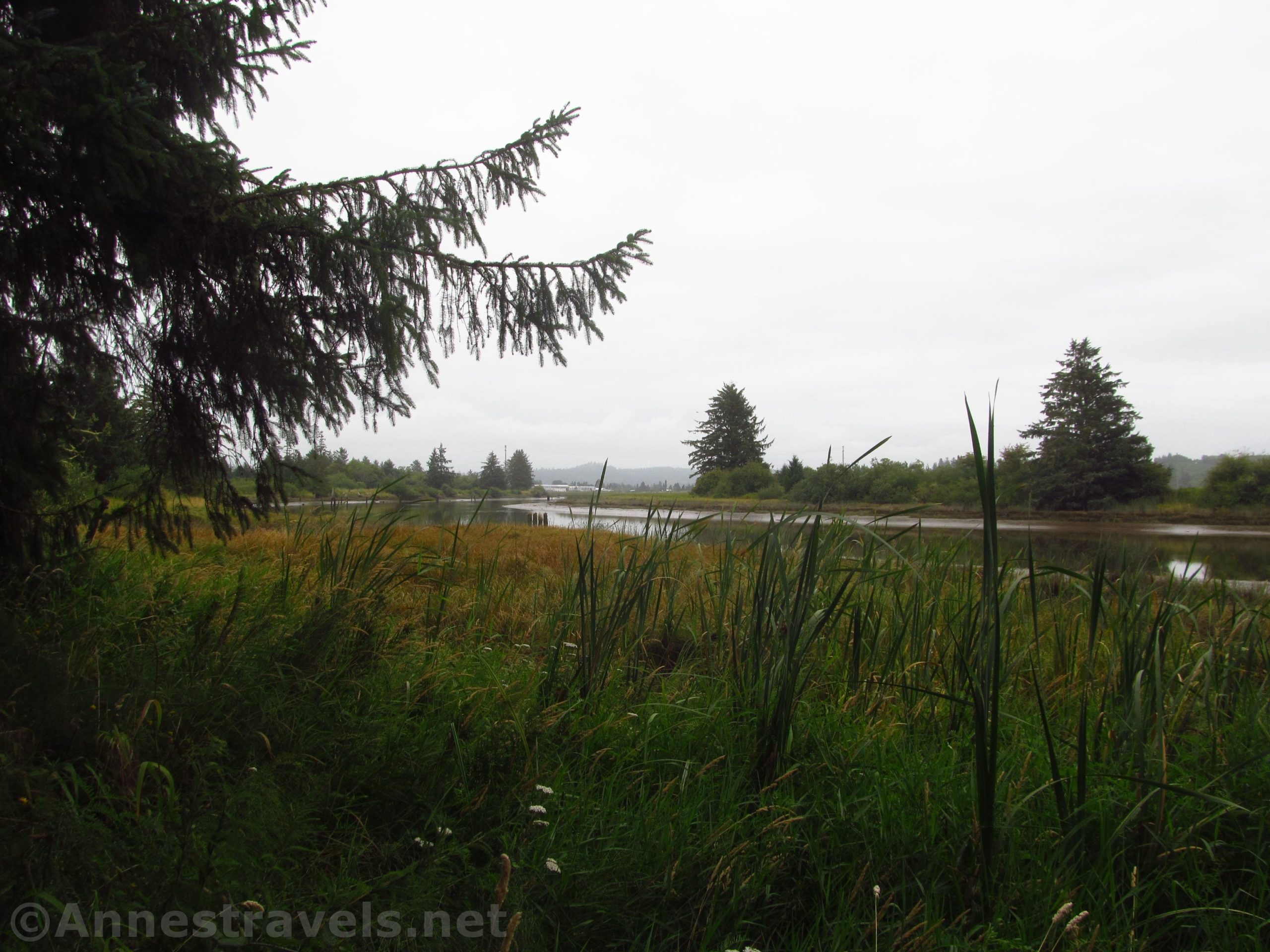Along the Netul River Trail en route to Fort Clatsop, Oregon