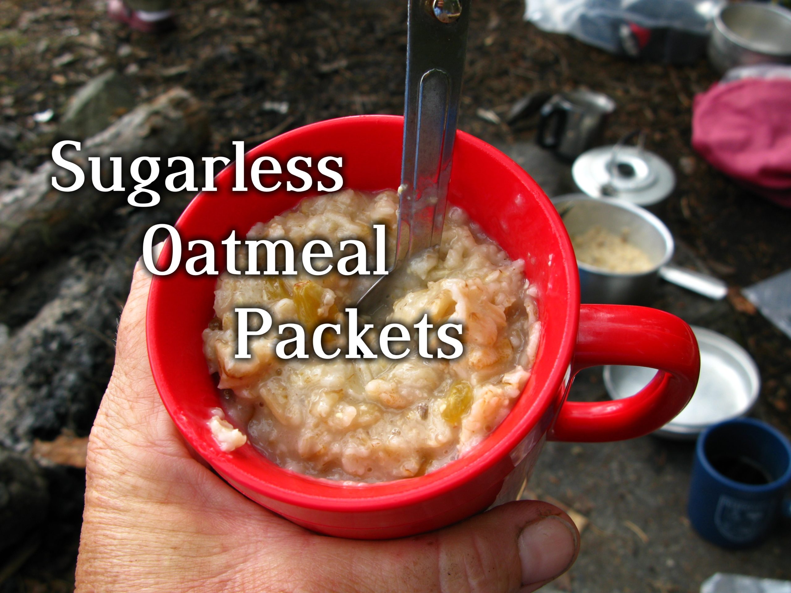 How to make instant oatmeal packets that are sugarless and (potentially) dairyless
