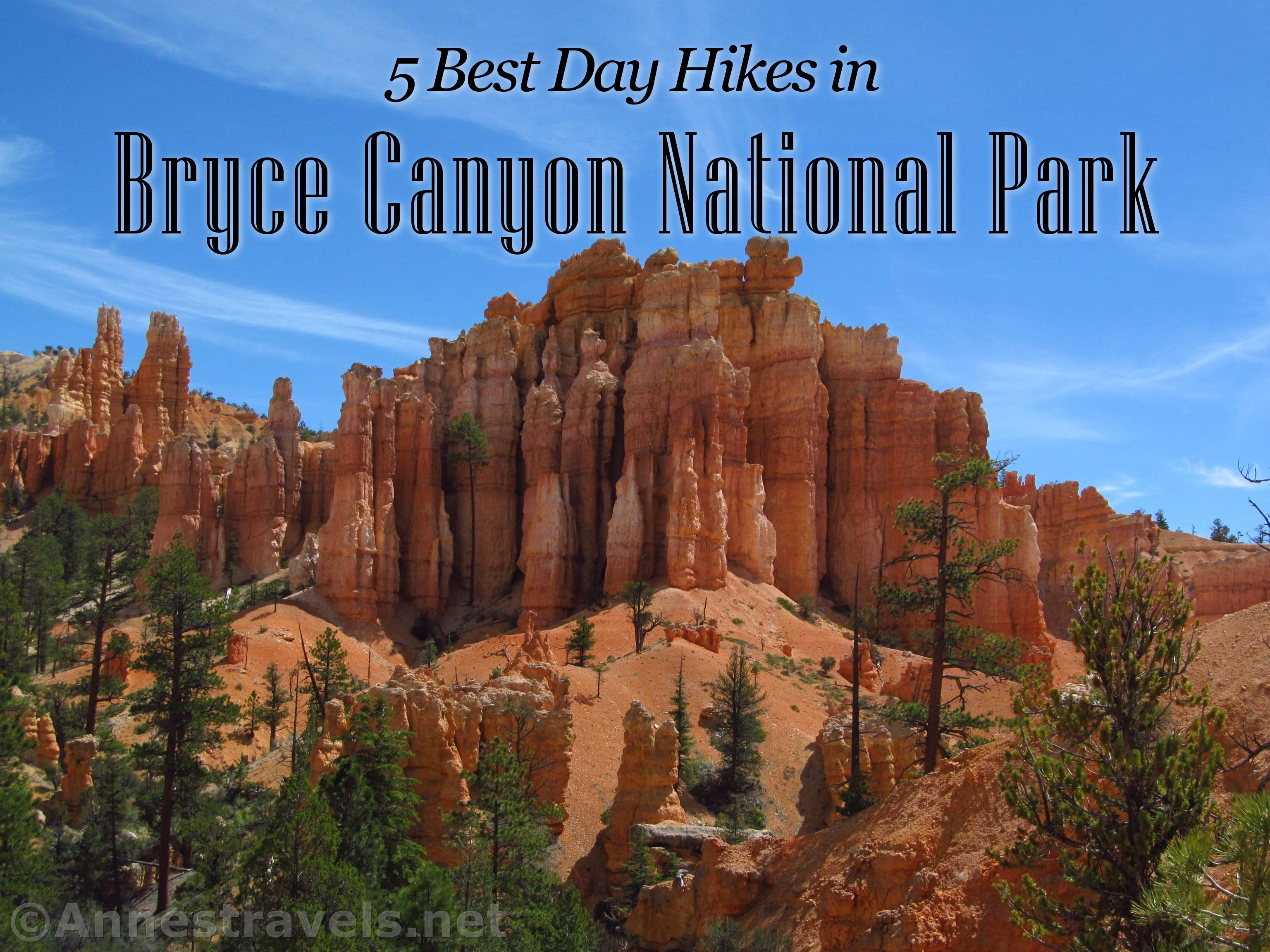 5 Best Day Hikes in Bryce Canyon National Park 5 Best Day Hikes in Bryce Canyon National Park