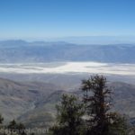 Bristle cone pines and views of Badwater Basin from the Telescope Peak Trail in Death Valley National Park, California