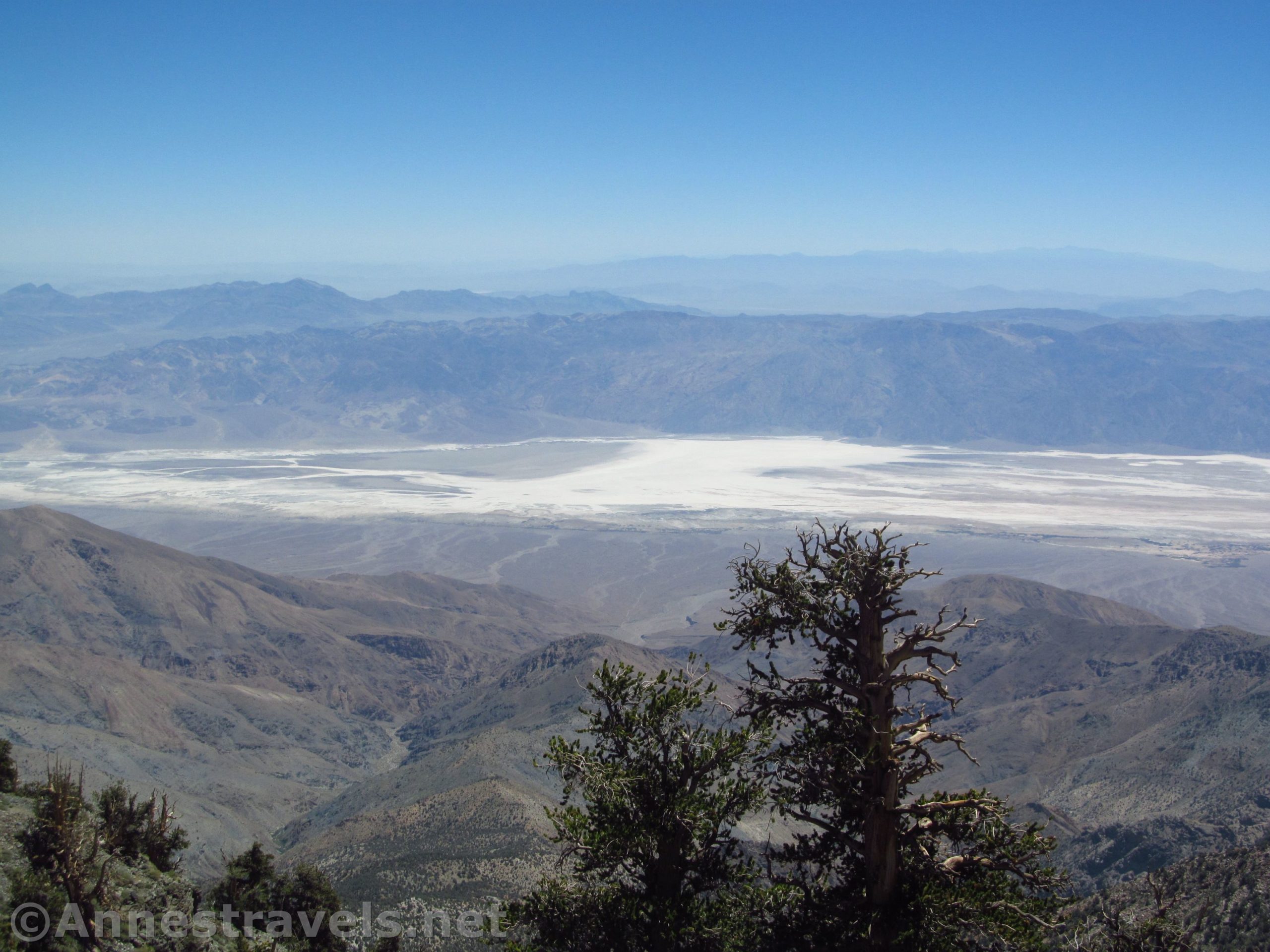 Bristle cone pines and views of Badwater Basin from the Telescope Peak Trail in Death Valley National Park, California