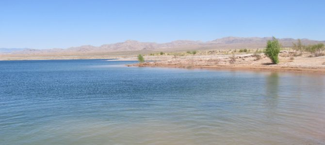 Echo Bay Swimming Beach – Desert Swimming Hole!