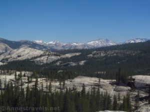 Views of the Sierras from Tuolumne Meadows in Yosemite National Park, California